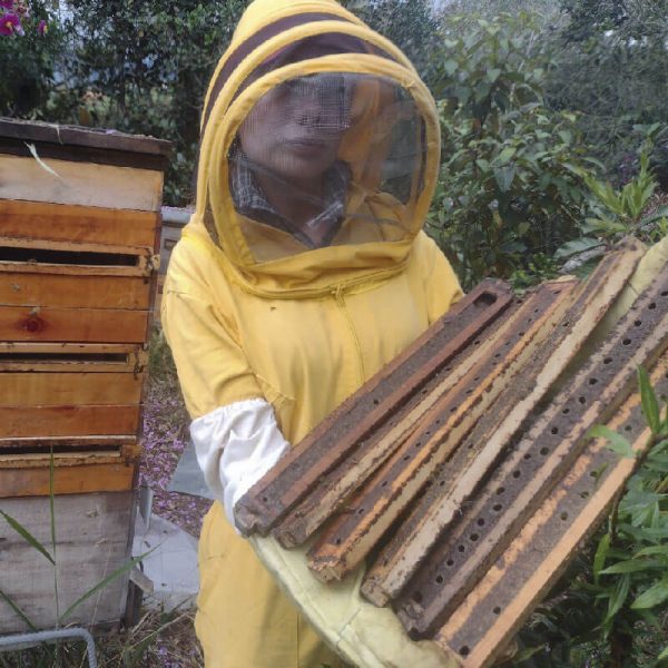 Asesorías y capacitación en apicultura - Apiarios Bosques del Yarumo