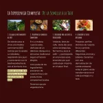 Experiencia BIOCAFÉ - Image 7