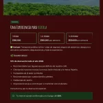 Experiencia BIOCAFÉ - Image 11