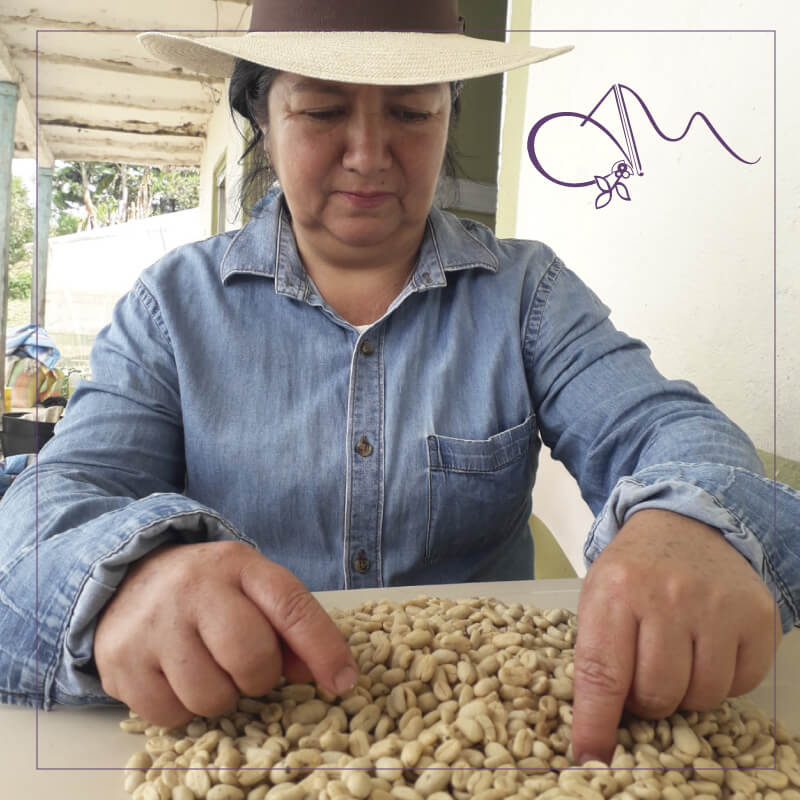 Servicio Consultoría especializada Cafetera empresa Amatista Speciality Coffee & Stories - Vitrina Emprendimiento Rural - Fundación Aurelio Llano Posada