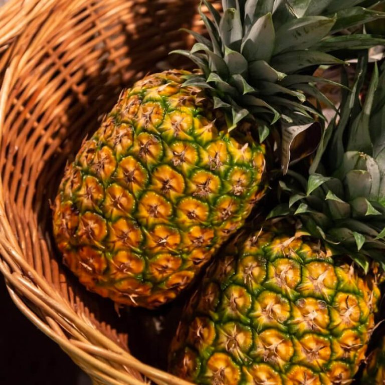 Piña Oro Miel - Vitrina de Emprendimiento Rural