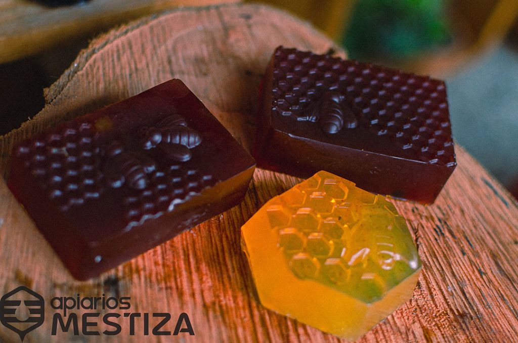 Apiarios Mestiza: Un compromiso por las abejas