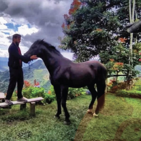 Tour a caballo, café y panela- Kamarija toda una experiencia