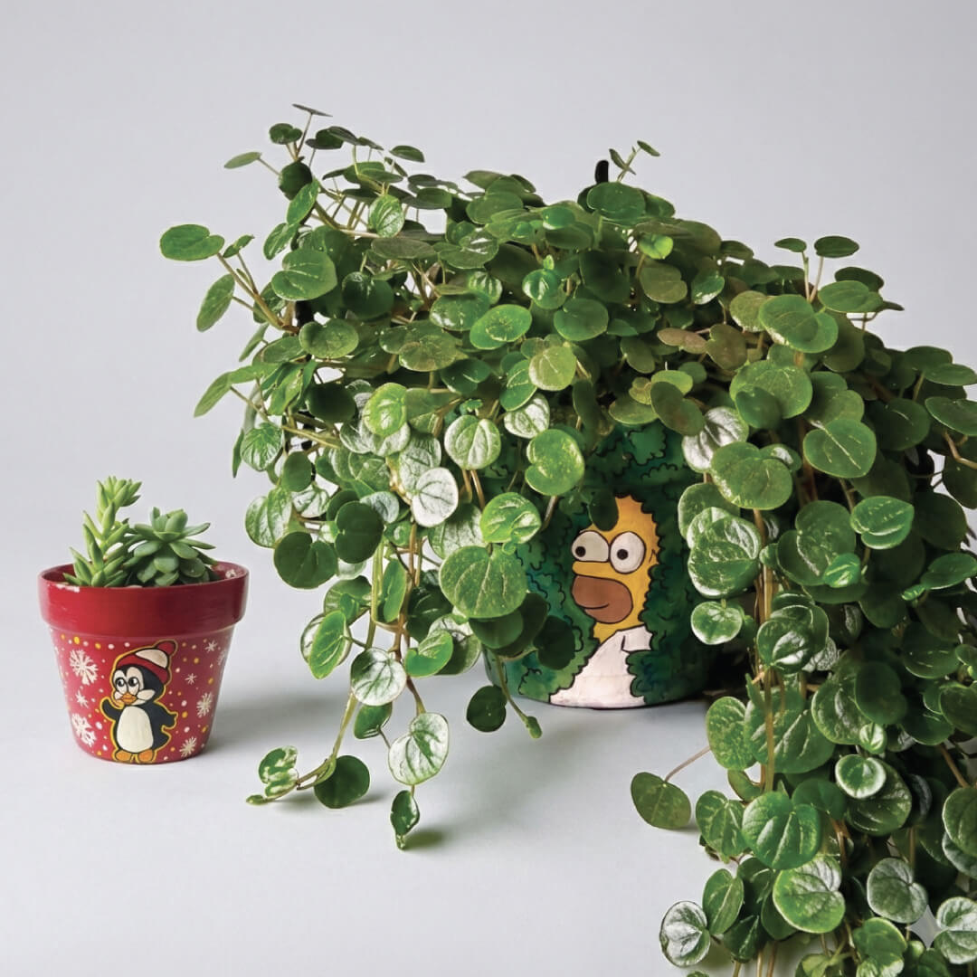 materas-pintadas-producto-Empresa-negocios-verdes-las-margaritas-Emprendimiento-FALLP venta de materas en arcilla pintadas a mano Producto de la empresa Negocios Verdes las Margaritas - Vitrina Emprendimiento Rural - Fundación Aurelio Llano Posada