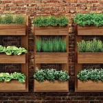 Plántulas vivas o para cultivos - Fromnativo