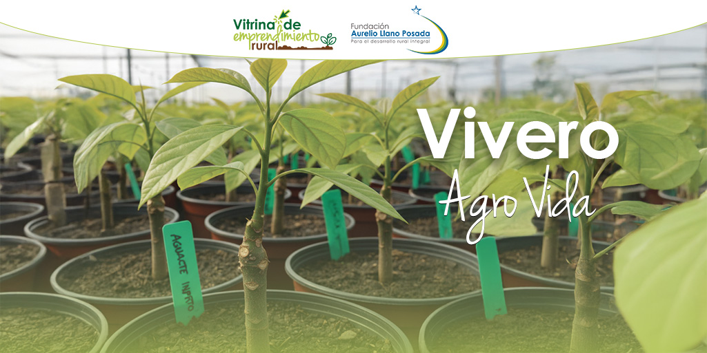 Vivero Agrovida: Un lugar para lo orgánico
