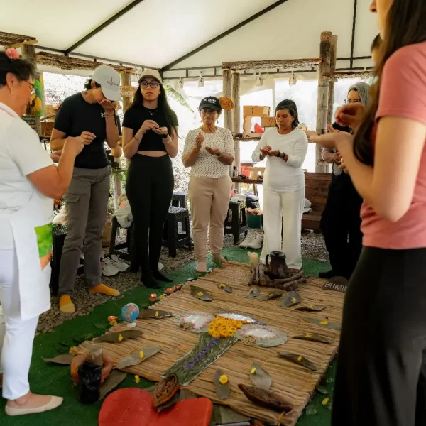venta de - Cacao Raíces