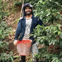 emprendimiento Cerencia Café