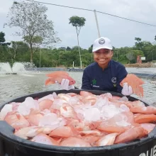 Emprendimiento Piscícola LA ZUNILDA