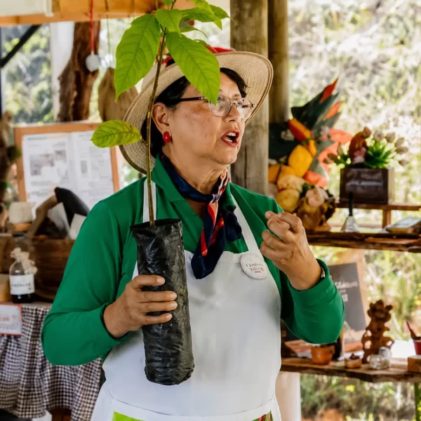 venta de Tour Experencial Chocolatero - Cacao Raíces
