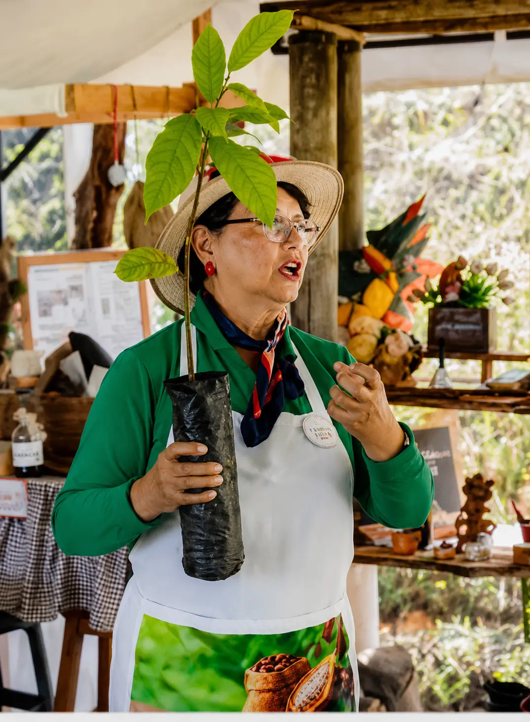 Tour-Experencial-Chocolatero-Cacao-Raices venta de Tour Experencial Chocolatero - Cacao Raíces