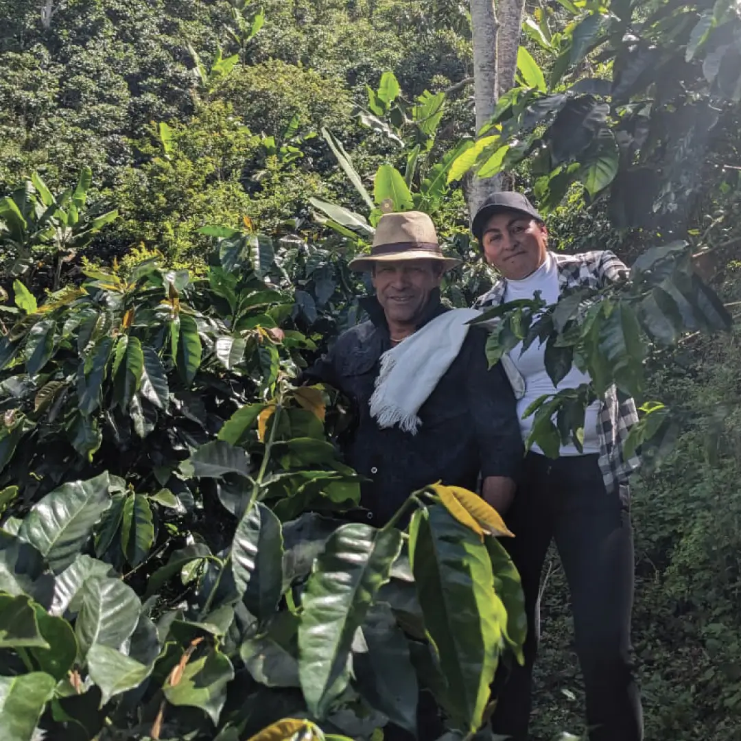 emprendimiento Café Especial Finca el Progreso