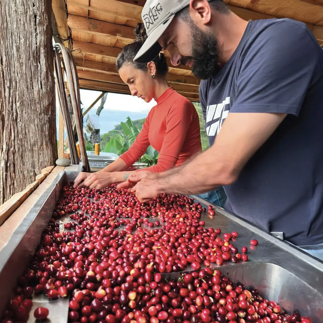 emprendimiento Cerencia Café