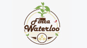 Emprendimiento Tour cafetero Finca Waterloo