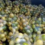 venta de Maracuyá en Fresco - ASODIES