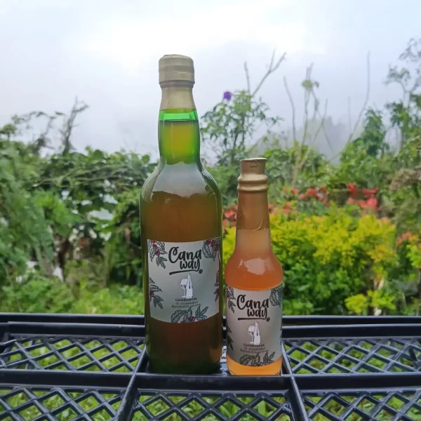 venta de vino Emprendimiento