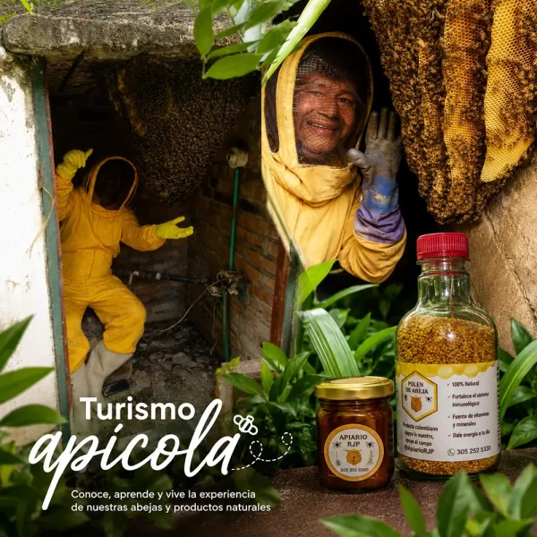 servicio de turismo apícola emprendimiento Apiaro RJP