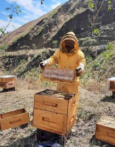 Miel de Abejas La Reserva: apicultura sostenible en Buriticá