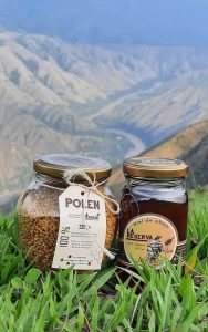 Miel de Abejas La Reserva: apicultura sostenible en Buriticá