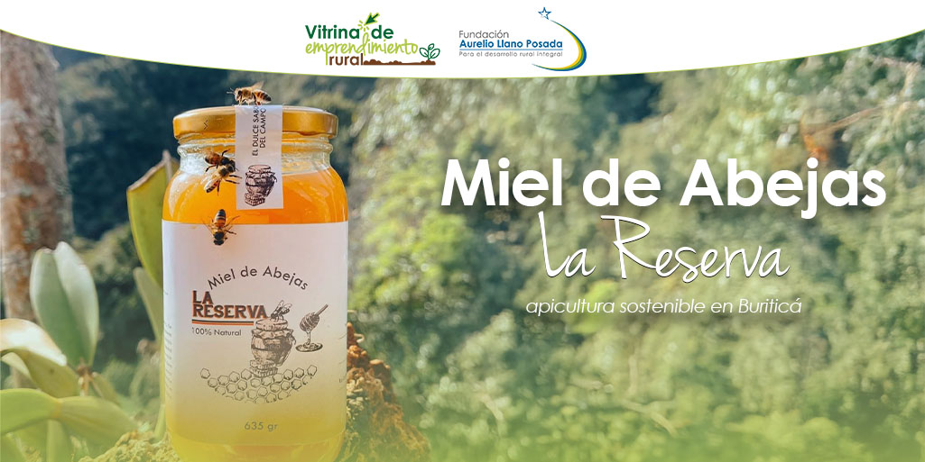 Miel de Abejas La Reserva: apicultura sostenible en Buriticá